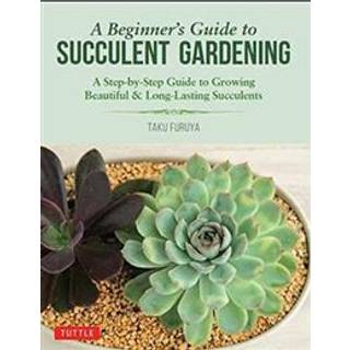A Beginner's Guide to Succulent Gardening