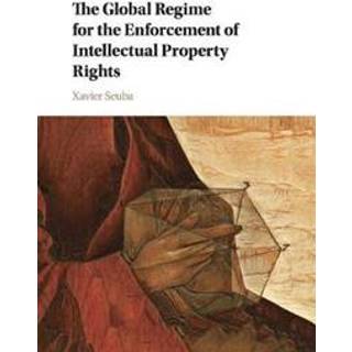 The Global Regime for the Enforcement of Intellectual Property Rights