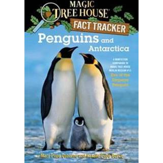 Penguins and Antarctica