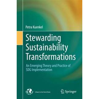 Stewarding Sustainability Transformations