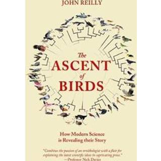 The Ascent of Birds