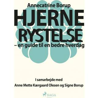Hjernerystelse - En guide til en bedre hverdag