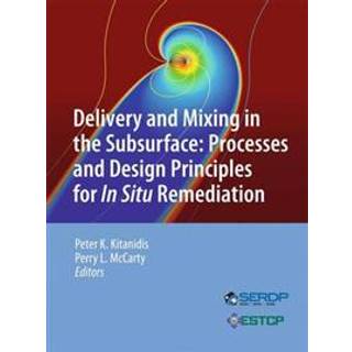 Delivery and Mixing in the Subsurface