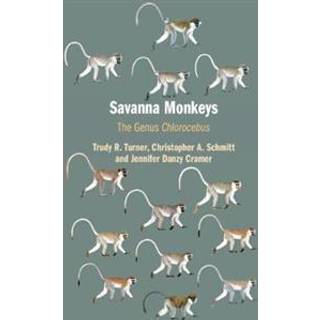 Savanna Monkeys