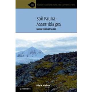 Soil Fauna Assemblages