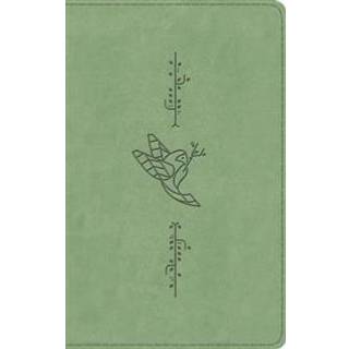 ESV Kid's Bible, Thinline, Red Letter