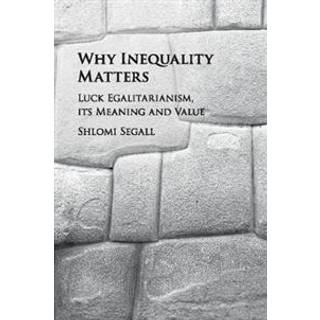Why Inequality Matters