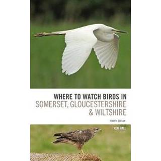 Where To Watch Birds in Somerset, Gloucestershire and Wiltshire
