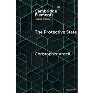 The Protective State