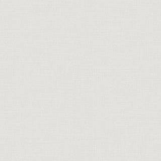 Raw Silk - 4568