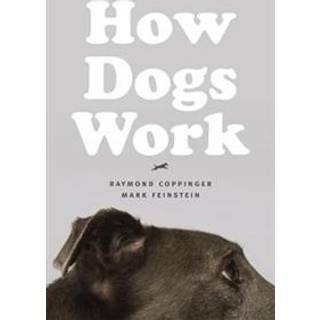 How Dogs Work