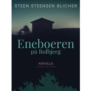 Eneboeren på Bolbjerg