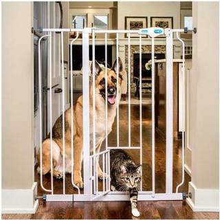Carlson - extra TALL gate with pet door 104x74-99CM