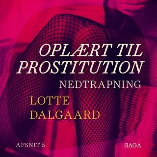 Oplært til prostitution 5: Nedtrapning