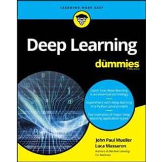 Deep Learning For Dummies
