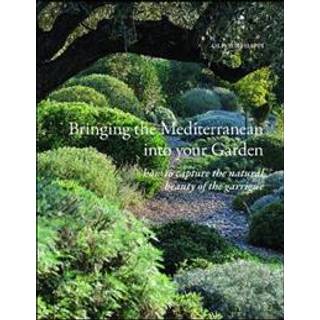 Bringing the Mediterranean into your Garden