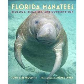 Florida Manatees