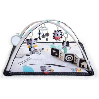 Tiny Love Gymini Magical Tales Aktivitetscenter, Multi