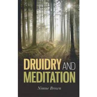 Druidry and Meditation