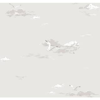 Seagulls - 8857