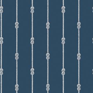 Knot stripe - 8858
