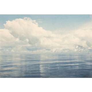 Horizon - 8886