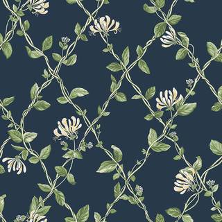 Honeysuckle - 8851