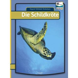 Die Schildkröte