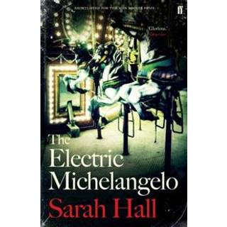 The Electric Michelangelo