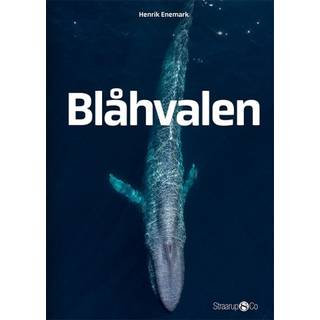 Blåhvalen