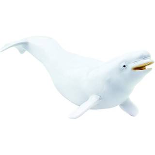 Safari Ltd. Beluga Whale Figurine - Langsom 8 """" Plastikmodelfigur - Sjovt uddannelsesm?ssigt leg leget?j til drenge og b?rn i alderen 3+