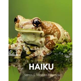 HAIKU