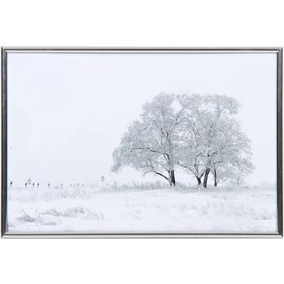 Focus Can-Can Shiny Silver 15x20 - Ramme