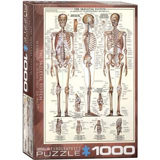 Kroppen: Skelet - 1000 brikker