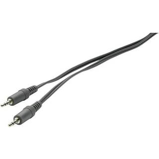 SpeaKa Professional SP-1301344 Jack Audio