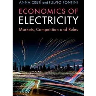 Economics of Electricity