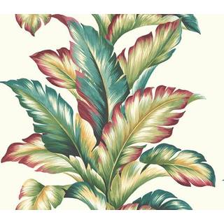 Maui Maui - TP81224