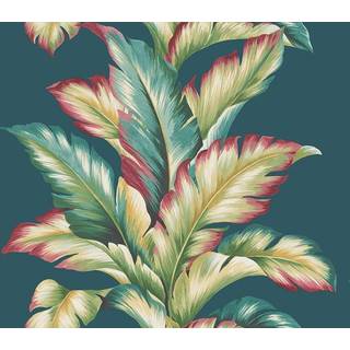 Maui Maui - TP81214