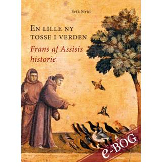 En lille ny tosse i verden