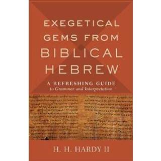 Exegetical Gems from Biblical Hebrew