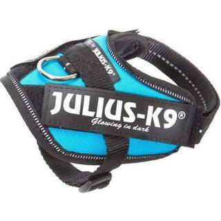 Julius-K9 IDC-harness Baby 2 Aquamarine