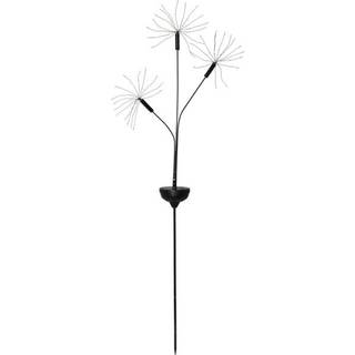 Star Trading - Solar Cell Lighting - Solar Cell Decoration Firework Solar - Black - 95 cm
