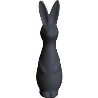 DBKD Swedish rabbit large White