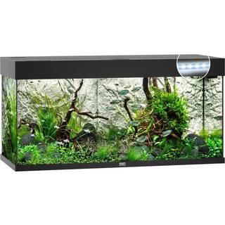 JUWEL AKVARIUM LED RIO 180 HVID 101x41x50CM 180L