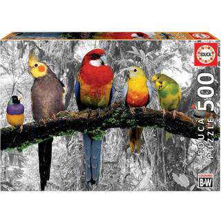 Educa Puslespil Birds On The Jungle 500 Brikker
