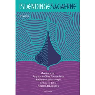 Islændingesagaerne. Bd 5