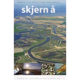 Skjern Å