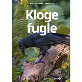 Kloge fugle