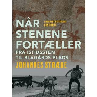 Når stenene fortæller. Fra istidssten til Blågårds Plads