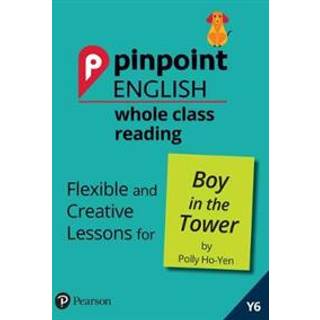 Pinpoint English Whole Class Reading Y6: Boy in the Tower
